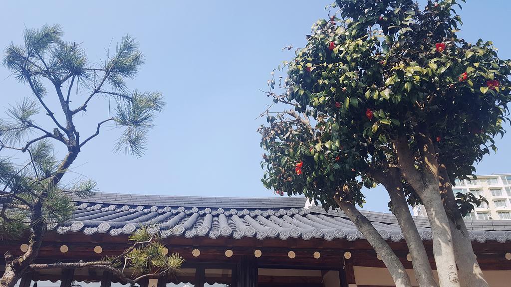 Misori Guesthouse Gwangju Metropolitan City Exterior photo