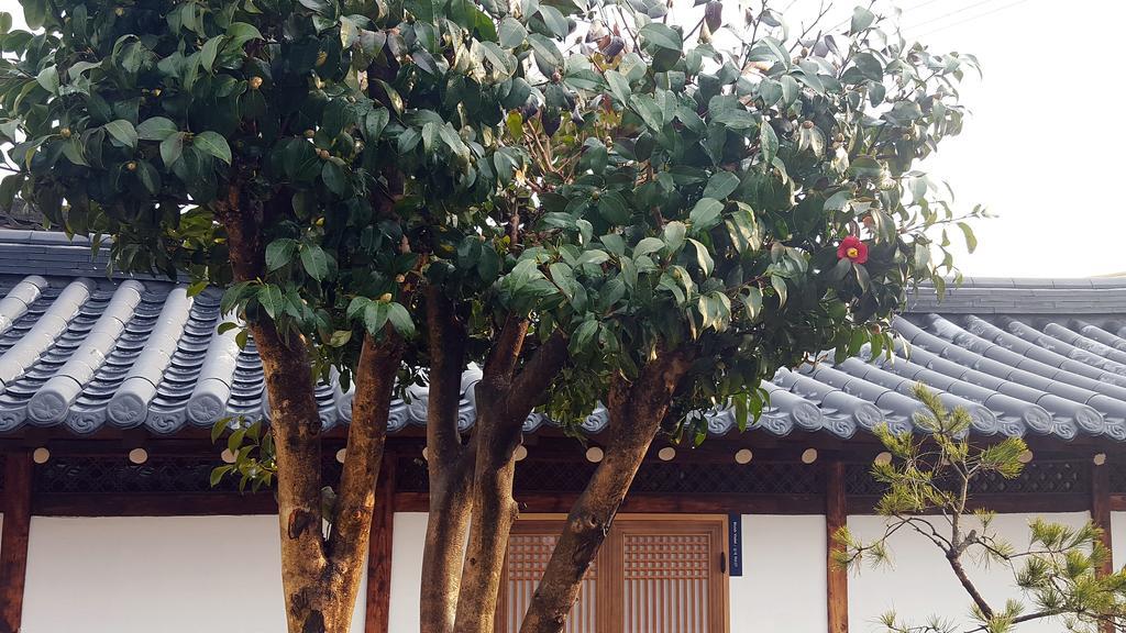Misori Guesthouse Gwangju Metropolitan City Exterior photo