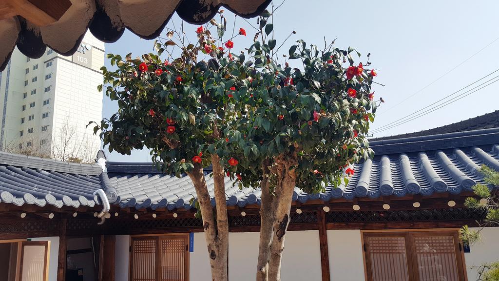 Misori Guesthouse Gwangju Metropolitan City Exterior photo